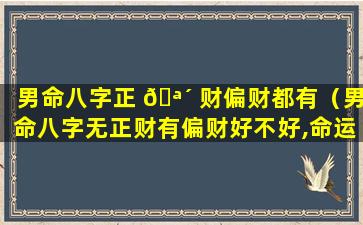 男命八字正 🪴 财偏财都有（男命八字无正财有偏财好不好,命运怎么样）